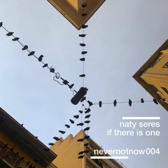 PREMIERE: Naty Seres - If There Is One [never not now]