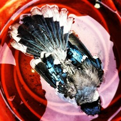 The Beginning Is The End