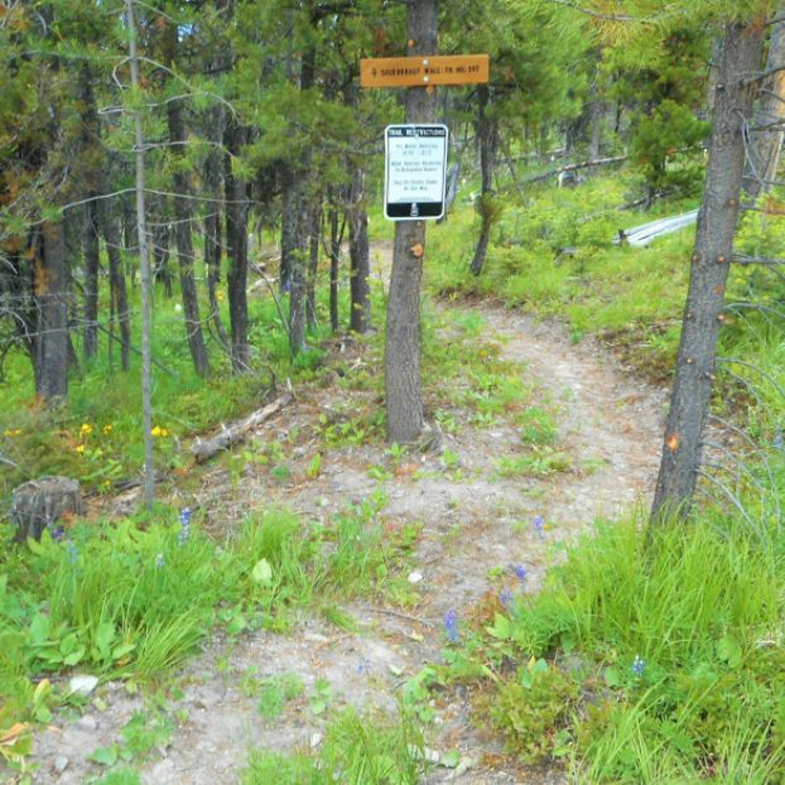 Sauerkraut Wall Trail episode artwork