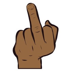 Stupid Bitch