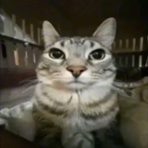 vai tomando sem parar x automotivo yuri22