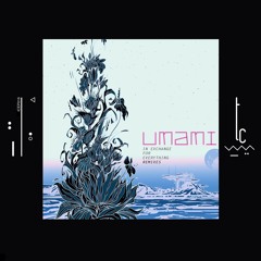 Umami - Ghostnote (DAVI Remix) [trueColors]