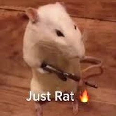 illegal rat rave (instrumental)