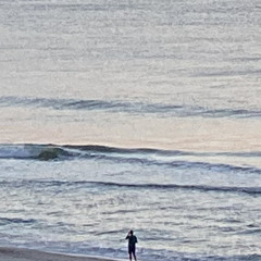 Look At All The Fishes (GB9)