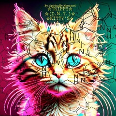 Trippy (D.M.T.) Kitty's