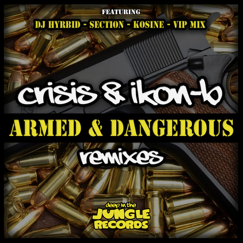 Stream Armed & Dangerous (DJ Hybrid Remix) by Crisis Listen online