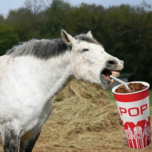 Ballad Of The Soda Pop