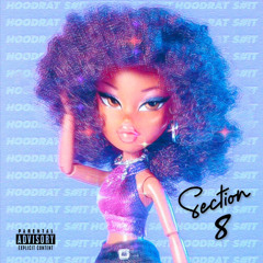 Section 8 (Official Audio)