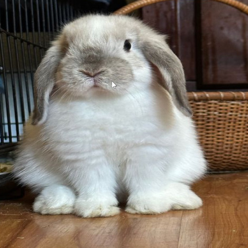 i dont wanna miss u w/ xannaholik @16res