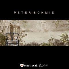 Electrocat - Peter Schmid 12.11.2025