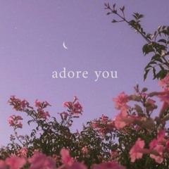 Adore You