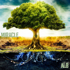 Miracle (Original Mix)