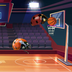 Bug Basketball