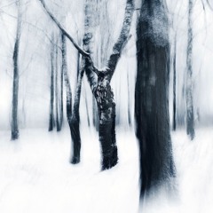 Wizatec - Dark Coldest Hills 150_157