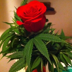 Stoner Love