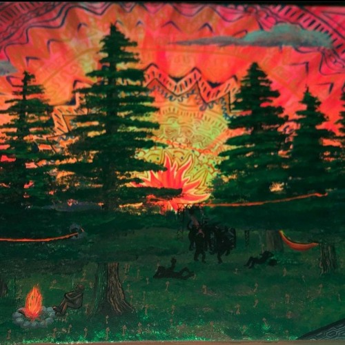 welcome to the forest