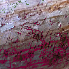 Cope ⎙ (Electric Guitar + Ibanez Chorus + Arion Distortion + TC Electronics Delay, Recorded 2023).