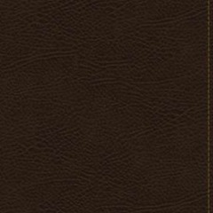 Audiobook KJV, The King James Study Bible, Bonded Leather, Brown, Thumb Indexed, Red Letter,
