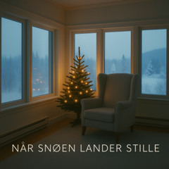 Når snøen lander stille