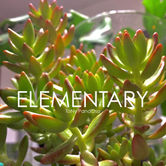 Elementary