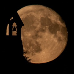 Little Crosses by Rhona Greene