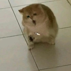 Em Là Của Anh  (Hiếu Béo Remix)