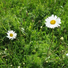 Méditation Guidée Retrouvailles avec mon âme