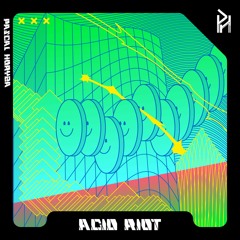 ACID RIOT (PREVIEW)[FREE DOWNLAOD SOON]