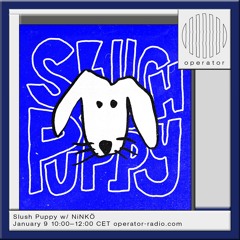 Slush Puppy w/ NiNKÖ - 9th January 2025