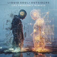 Liquid Soul & Outsiders - Life Frequency (Nevo Remix) [sample]