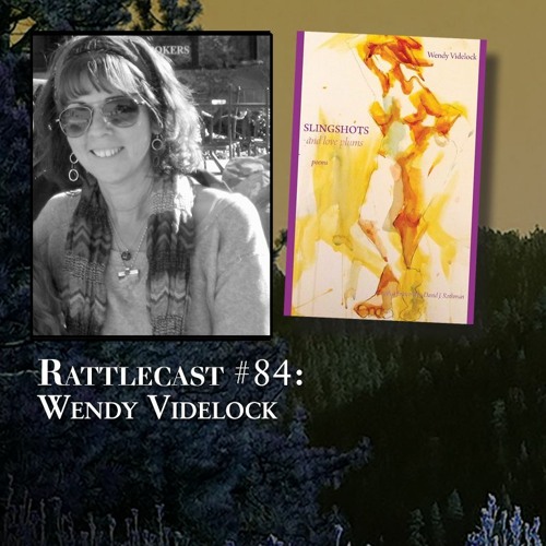 ep. 84 - Wendy Videlock