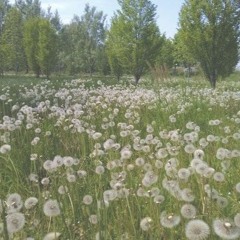 one big unhealthy coping mechanism