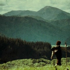 Wild Solitude