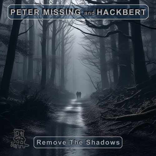 Peter Missing and Hackbert - Remove The Shadows (snippets)