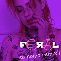 Dorian Electra - Sorry Bro (I Love You) [So Homo Remix]