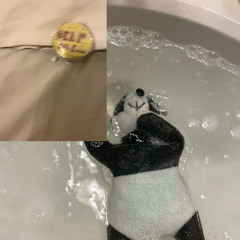 Pandee - pandas can have baths too!