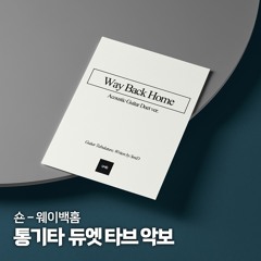 Way Back Home Acoustic Duet ver. / 웨이백홈 통기타 듀엣