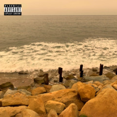 Human Origami feat. PincheDanger (prod. LethalNeedle)