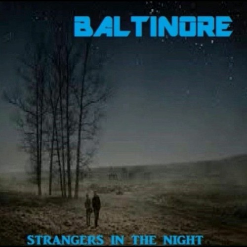 Strangers In The Night