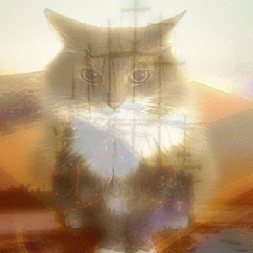 plnjosh - geekd