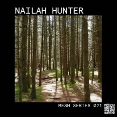 Mesh Mix Series 021: Nailah Hunter