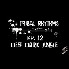 TRIBAL RHYTHMS EP 12