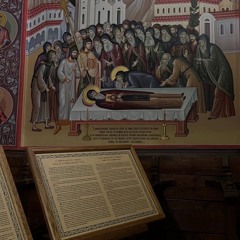 🎃 fortitude prod earn