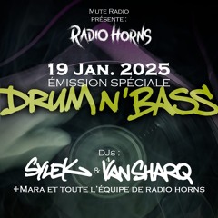 Radiohorns |Spéciale D&B|