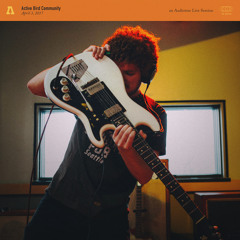 Melancholy Paper Drum (Audiotree Live Version)