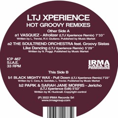 Hot Groovy Remixes - Irma (Vinyl Release)