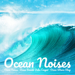 Ocean Noises for Calming Baby