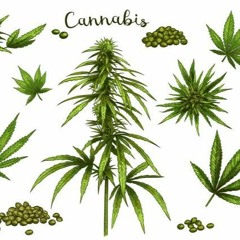 longus mongus ichus bongus klassus maximus