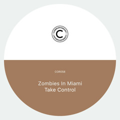 Take Control (Simple Symmetry Remix)
