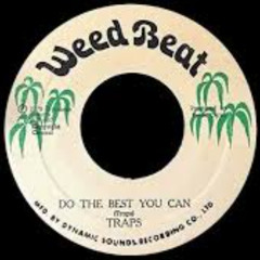 The Traps-Do The Best You Can
